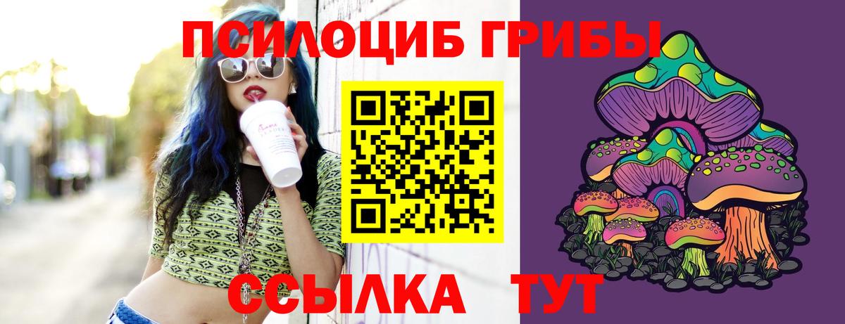 Псилоцибиновые грибы Psilocybine cubensis Артёмовский