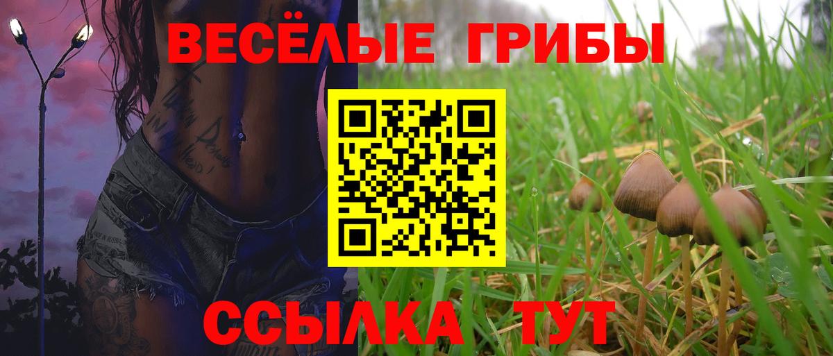 Галлюциногенные грибы Cubensis  Артёмовский  Галлюциногенные грибы мицелий 