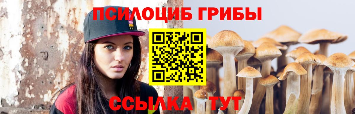 Меф   КЕТАМИН  ГАШ  NBOMe  Как найти наркотики?  COCAIN  ГАШИШ  Артёмовский  A-PVP СОЛЬ   Вход с VPN  Экстази  Конопля 